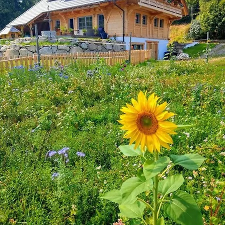 Aeule-Stueble * Schluchsee
